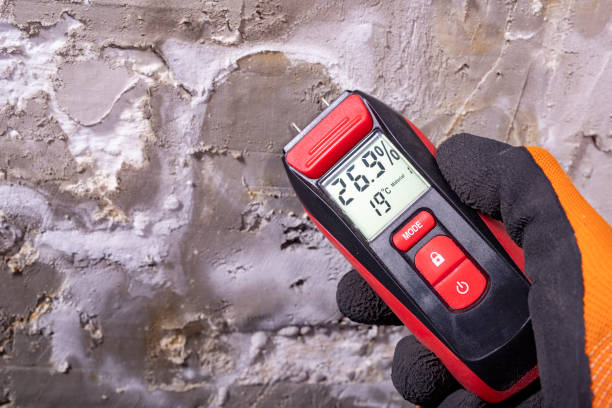 Best Comprehensive Air Testing for Mold Contaminants  in Olton, TX